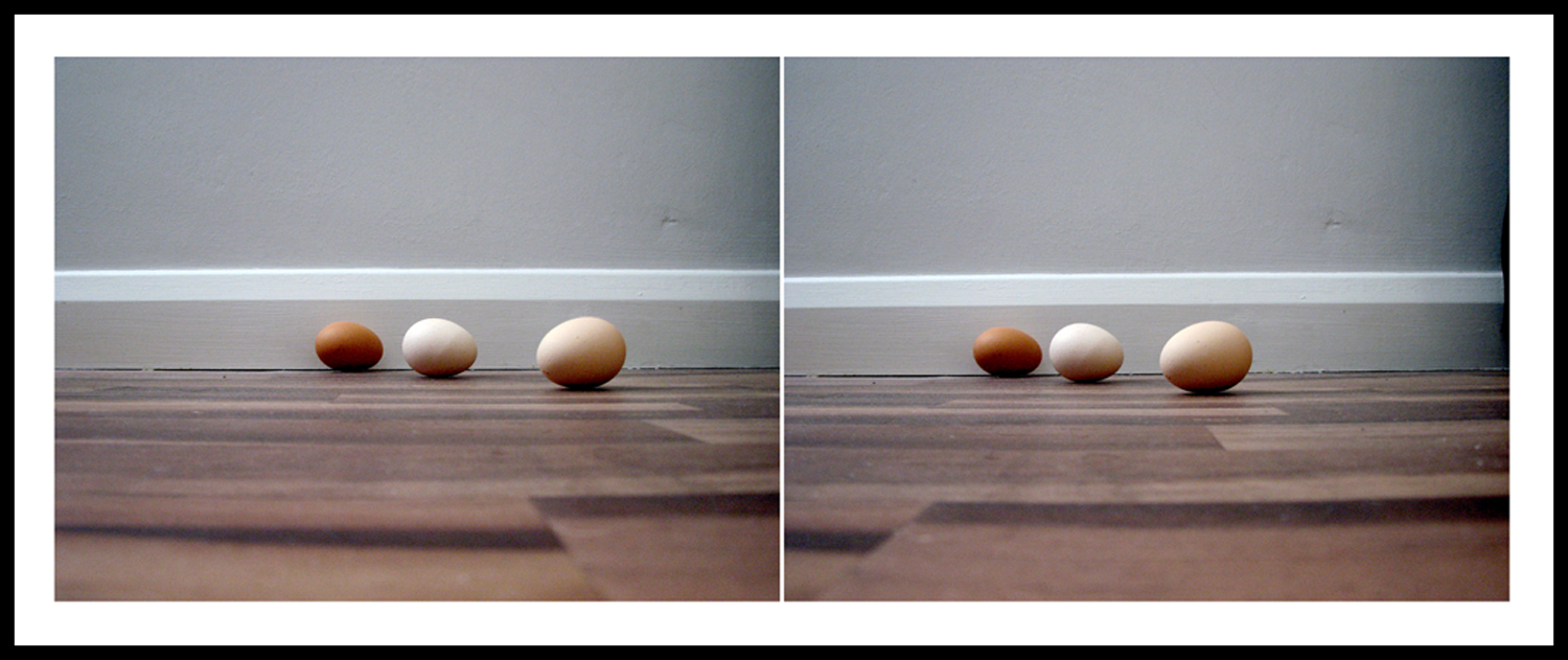 Eggs
